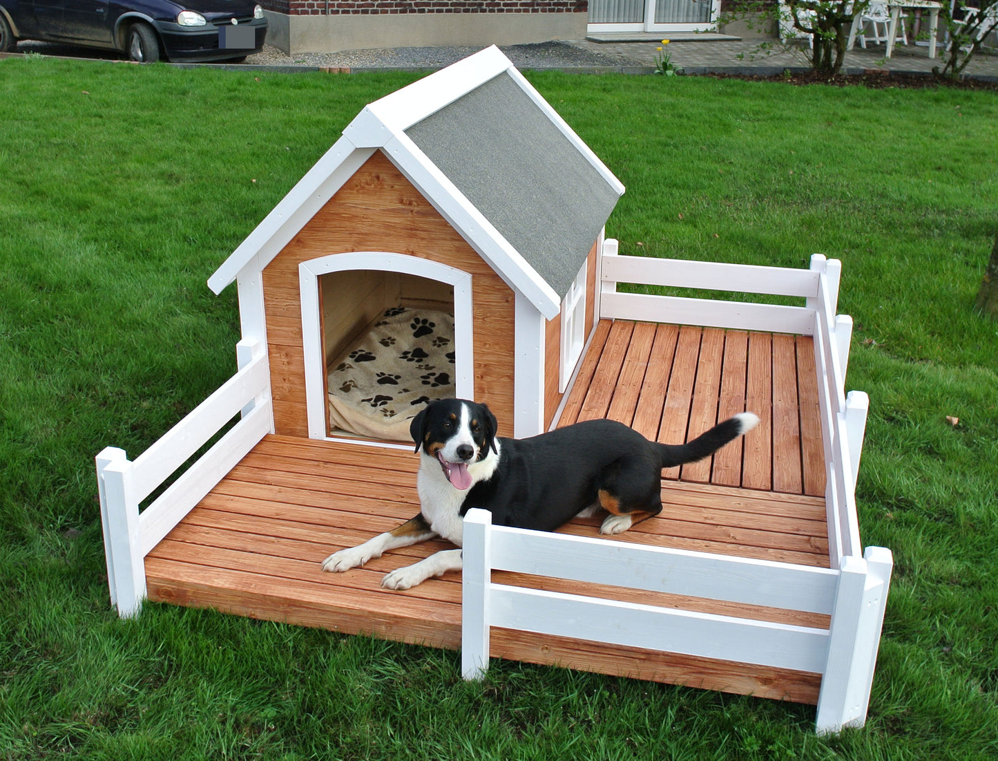 Hunde Hazienda