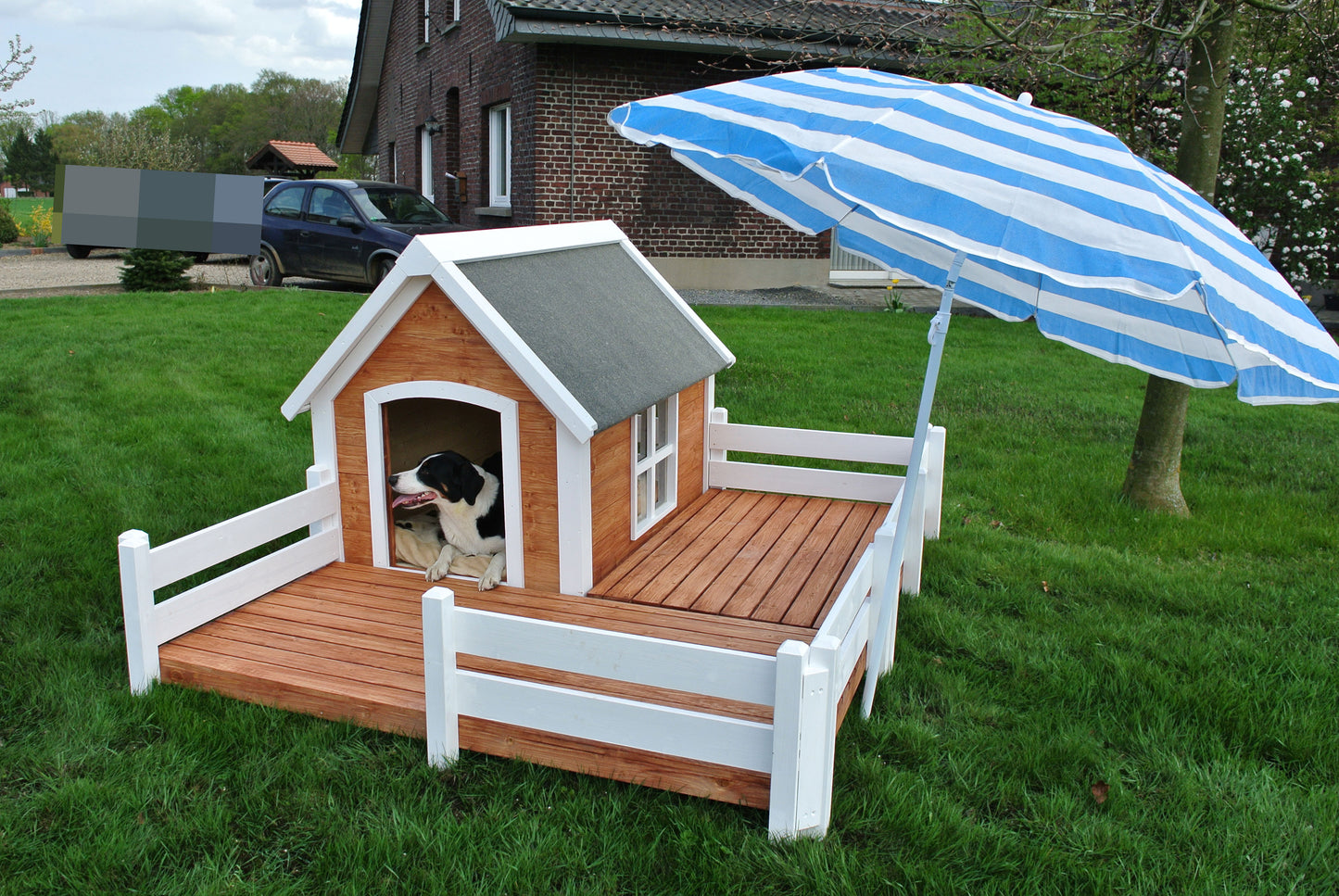 Hunde Hazienda