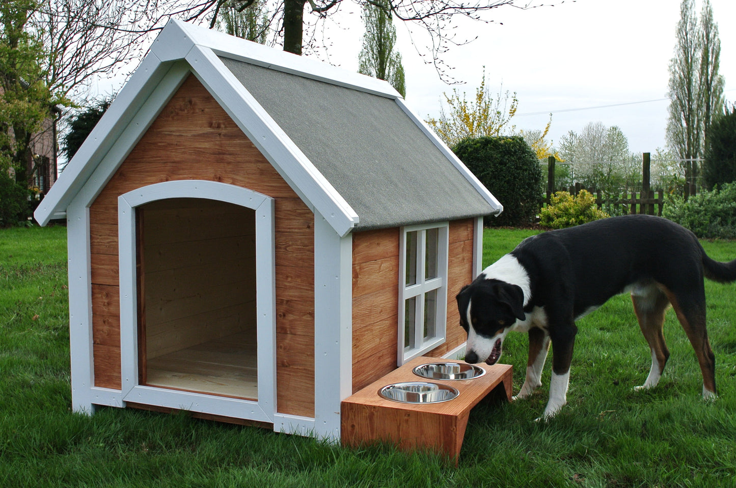 Hunde Hazienda